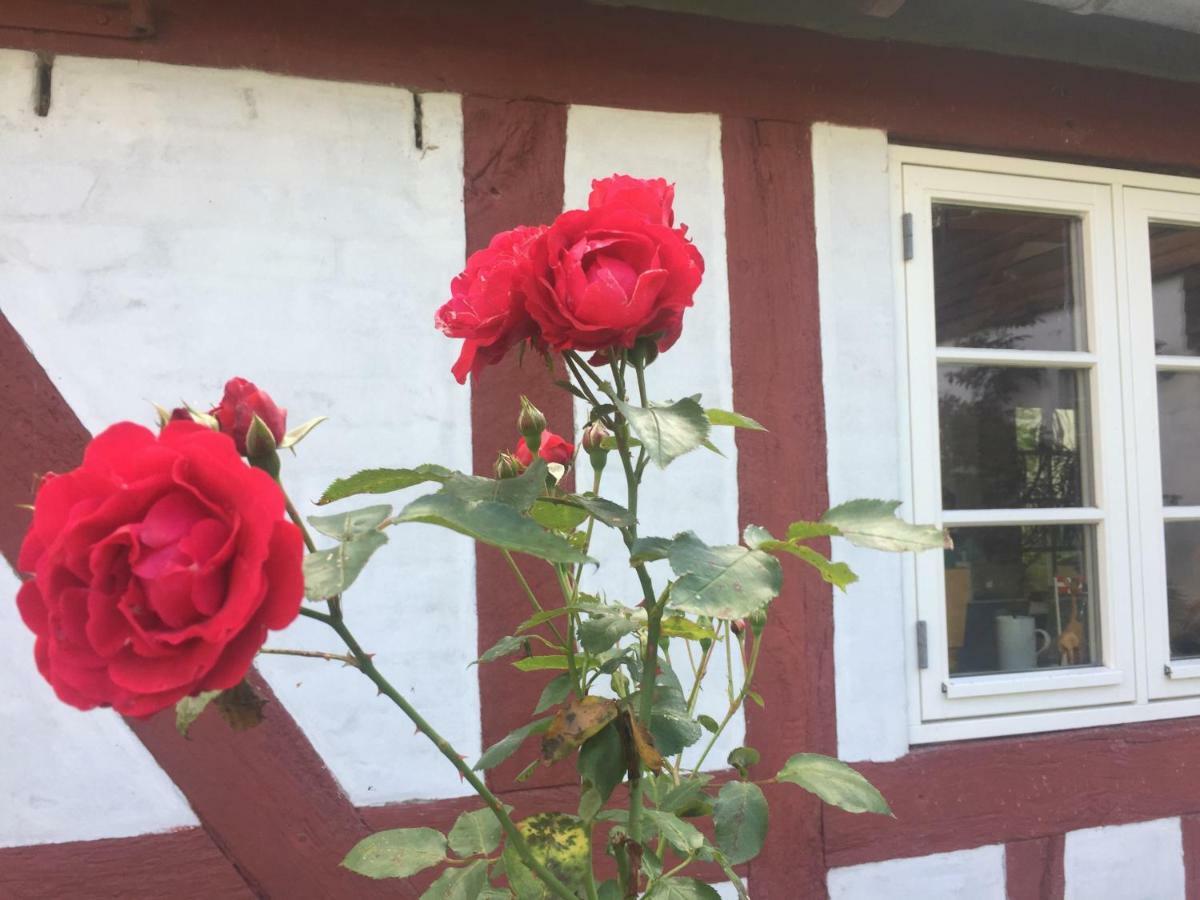 Rosenlund Bed & Breakfast Skovsgårde Exterior foto