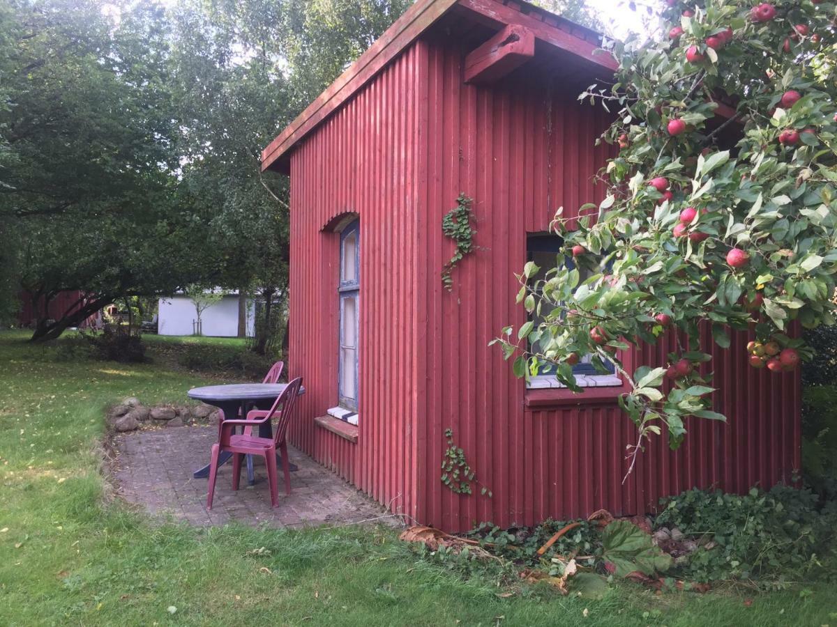 Rosenlund Bed & Breakfast Skovsgårde Exterior foto